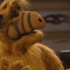 ALF